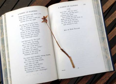 The Poems of Adam Lindsay Gordon, the prize for 1940, including a blue orchid pressed in the book at the time.